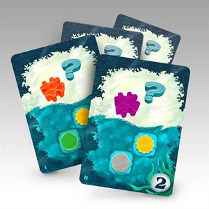 Reef Bonus Cards